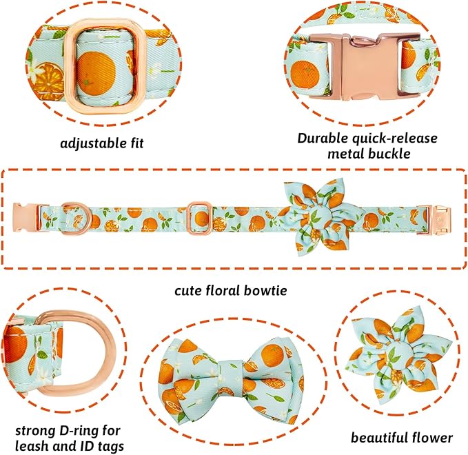 Dog Collar and Leash Set Girls Adjustable Puppy Collars with Fruit Bow Tie for Small Medium Large Female Dogs, Green Orange, M