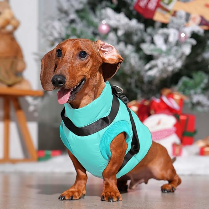 Dog Jacket with Harness,Fleece Lined Warm Puppy Coat for Winter,Soft Windproof Large Dog Vest,Bluegreen XXL
