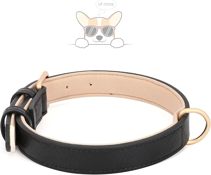 WHIPPY Leather Dog Collar for Small Dog Adjustable Soft Breathable Leather Padded Puppy Collar with Alloy Buckle Heavy Duty Waterproof Classic Dog Pet Collar,Black,XS