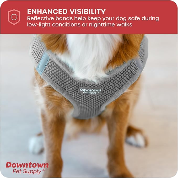 Downtown Pet Supply Step in Dog Harness for Small Dogs No Pull, Small, Light Gray - Adjustable Harness with Padded Mesh Fabric and Reflective Trim - Buckle Strap Harness for Dogs
