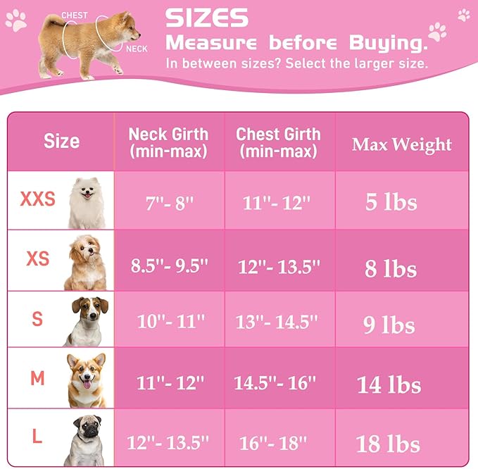 Soft Mesh Dog Harness and Leash Set, No Pull Puppy Harness and Leash Set, Reflective Step in Harness for Small Medium Dogs, Easy Walk Escape Proof Vest Harnesses (Rose Red, XS)