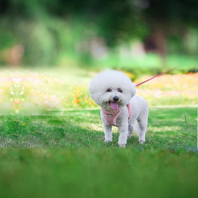 AIITLE Fleece Lined Dog Harness and Leash Set for Walking - Winter Step in Vest Harness,Reflective Bands, Adjustable No Choke Pet Supplies, for Small Dogs and House Cats Pure Pink XS