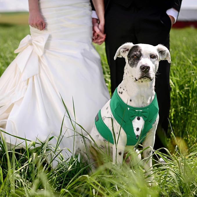 Kuoser Dog Tuxedo Harness, Adjustable Dog Harness No Pull for Small Medium Dogs, Dog Wedding Suit with Bow Tie Party Costume Green XL