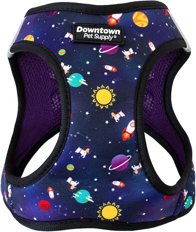 Downtown Pet Supply Step in Dog Harness for Small Dogs No Pull, Large, Space - Adjustable Harness with Padded Mesh Fabric and Reflective Trim - Buckle Strap Harness for Dogs