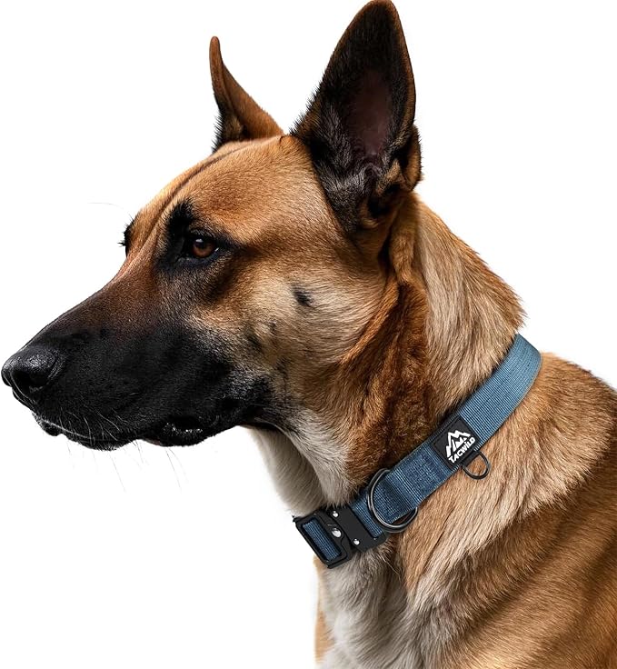 Heavy Duty Dog Collars for Medium and Large Dogs - Adjustable, Chew Proof Nylon Collar with Metal Quick Release Buckle and D-Ring for Dog Tags (Haze Blue, L)