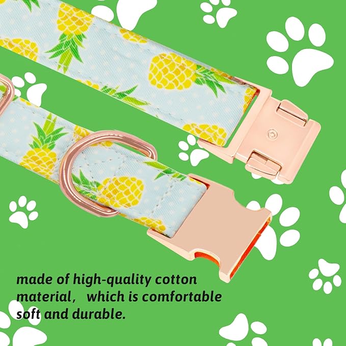Dog Collar and Leash Set Girls Adjustable Puppy Collars with Fruit Bow Tie for Small Medium Large Female Dogs, Pineapple, XS