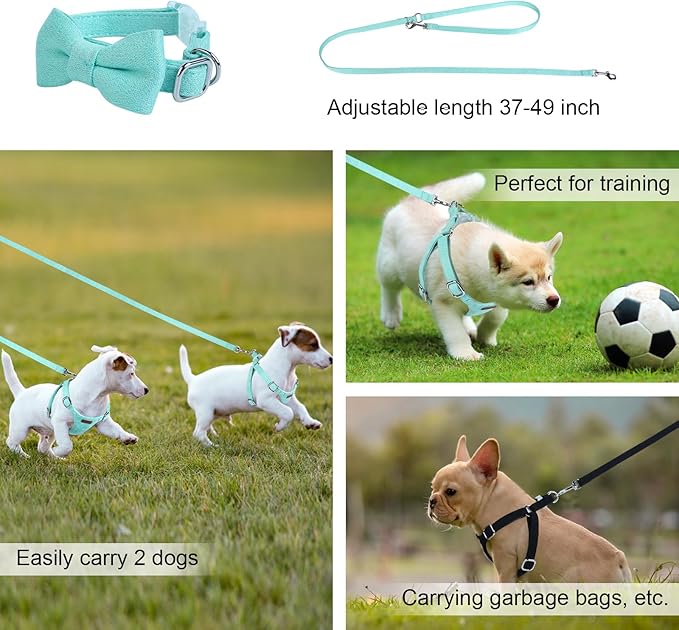 Dog Harness and Leash Set, XXS No Pull Adjustable Puppy Harness with Multifunction Pink Dog Leash and Dog Collar, Soft No Choke Escape Proof Pet Harness Vest for Small Dogs and Cats (Mint Green, M)