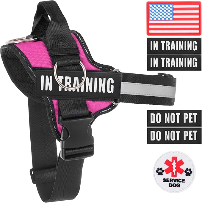 Essential Dog Harness, No Pull Pet Harness with 3 Side Rings for Leash Placement, No Choke, Reflective, Adjustable Pet Vest, Easy On-Off & Improved Control Handle (Rose, XXL(Neck:23-34",Chest:30-40"))
