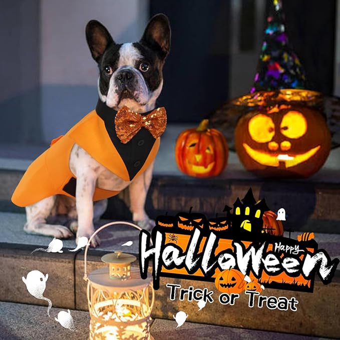 Kuoser Dog Tuxedo Suit and Bandana Set, Pumpkin Color Dogs Thanksgiving Outfit Adjustable Dog Halloween Costume with Bow Tie for Large Medium Small Dogs Golden Retriever Samo Bulldogs, XL