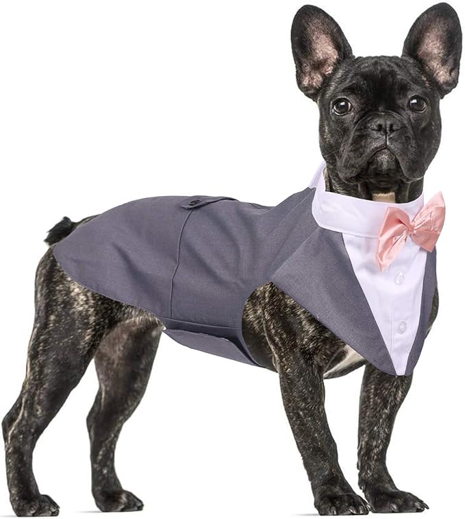 QBLEEV Tuxedo for Medium Dogs, Suit and Bandana Set, Wedding Outfit With Bow Tie, Formal Tux Costume for Halloween Christmas Birthday Party Cosplay, Grey M