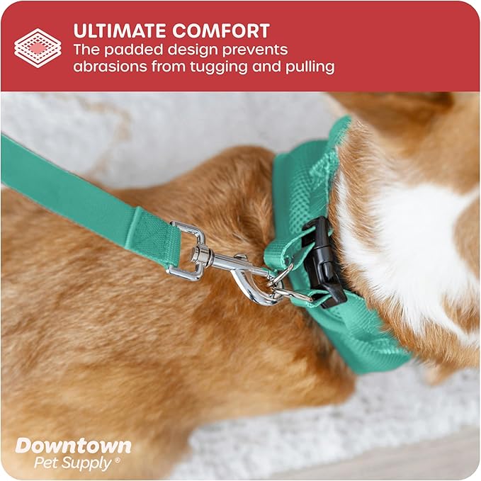 Downtown Pet Supply Step in Dog Harness No Pull, XX-Large, Bermuda Blue - Adjustable Harness with Padded Mesh Fabric and Reflective Trim - Buckle Strap Harness for Dogs