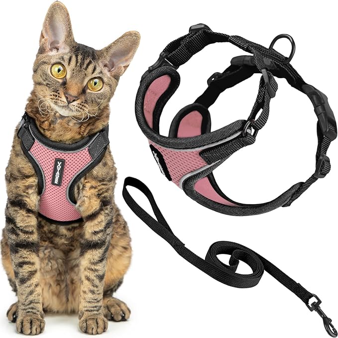 Voyager Escape Proof Cat Harness and Leash Set with Reflective Stitching, Neoprene Handle 5ft - Supports Small, Medium and Large Cats, Kittens for Walking by Best Pet Supplies - Black Trim-Pink, XS