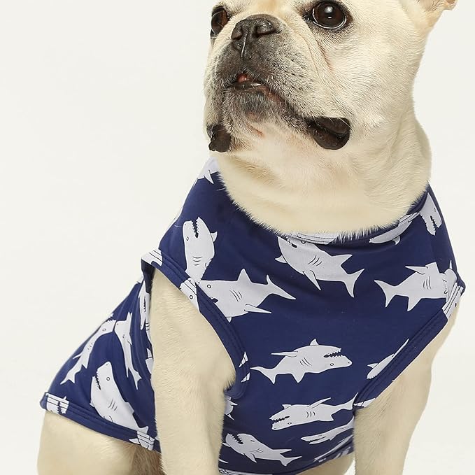 Fitwarm 3 Pack Shark Dog Shirt, Summer Dog Clothes for Small Dogs Boy Girl, Lightweight Pet Tshirt, Cat Outfit, Light Blue, Navy Blue, Royal Blue, Medium