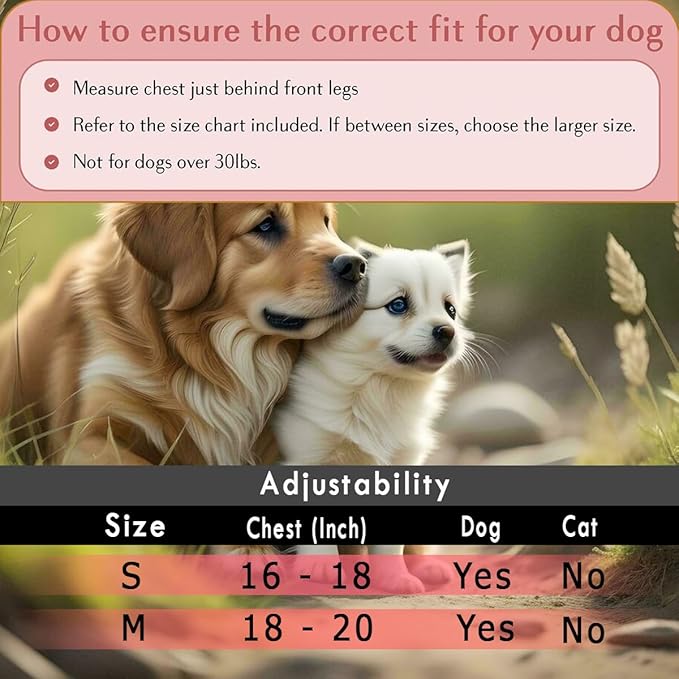 Comfort fit Step-in Christmas Dog & Puppy Harness - Comfortable All Weather Dog Vest Harness: Adjustable, Soft Padded, Easy to Put-on for Small, Medium-Sized Dogs.