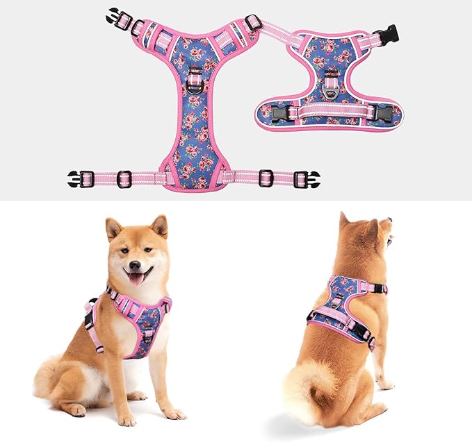 Timos Dog Harness, No-Pull Pet Harness with 2 Leash Clips, 3 Snap Buckles Adjustable Soft Padded Dog Vest, Reflective No-Choke Pet Oxford Vest with Easy Control Handle for Small Medium Large Dogs
