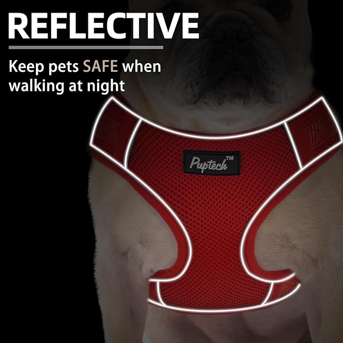 PUPTECK Dog Harness and Leash Set for Small Medium Dogs No Pull, Soft Mesh Adjustable Puppy Cat Harness Reflective at Night, Red S