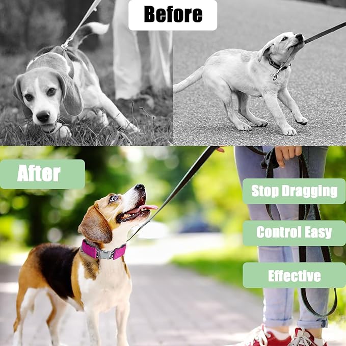 Adjustable Dog Collar with Quick Release Buckle for Small Medium Large Dogs