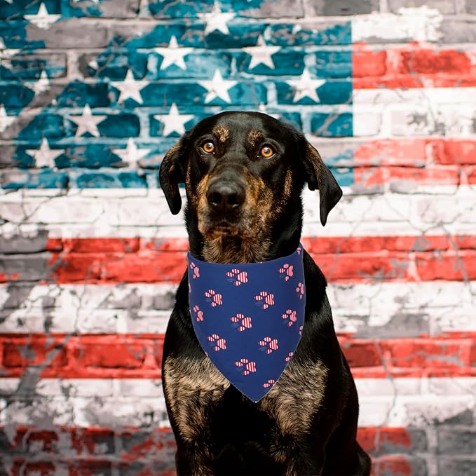 PTDECOR American US Flag Dog Bandana 4th of July Dog Bandanas Reversible Triangle Bibs Scarf for Medium and Large Dogs (Style 1, Large)