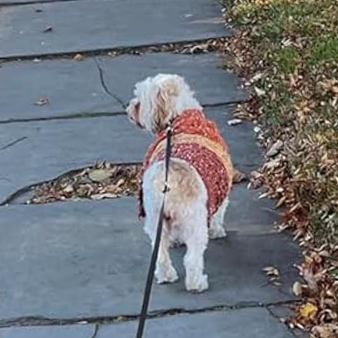 KYEESE Dog Sweater Color Block Dog Sweaters for Medium Dogs Boy with Fuzzy Thread Knitted Turtleneck Medium Dog Sweater Knitwear Dog Sweater for Medium Dogs Fall Winter Dog Clothes, Brown, XL