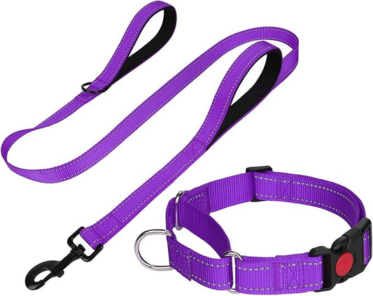 FunTags Reflective Martingale Collar for Dogs, Quick Release Buckle, 5FT Double Handle Dog Leash Padded, Dog Collar and Leash Set, Adjustable for Small Dogs (Purple, S)