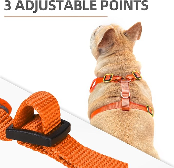 PUPTECK Dog Harness and Leash Set for Small Medium Dogs No Pull, Soft Mesh Adjustable Puppy Cat Harness Reflective at Night, Orange S