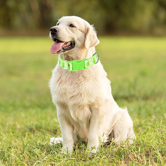 Dog Collar - Cute Green Avocado Design, Soft Nylon Adjustable Quick-Release Buckle, Durable Pet Collar for Boy and Girl Small Dogs (s)
