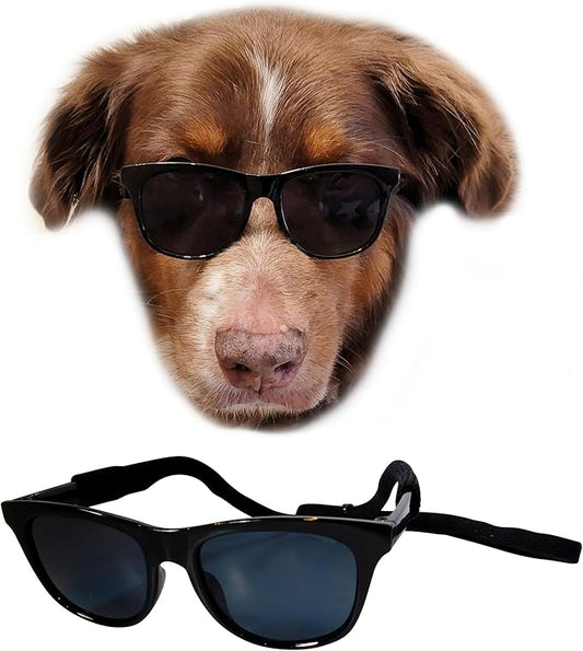 G006 Dog Medium Breeds 20-40 lbs Pet Cat 80s Costume Prop Sunglasses (Black)