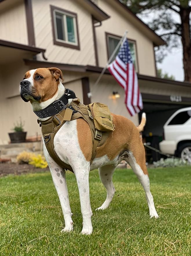 Tactical Dog Collar with Handle - Military Adjustable Dog Training Collar Soft Nylon and Heavy Duty Metal Buckle for Medium Large Dogs - with Patch (Green with Patch, Medium)