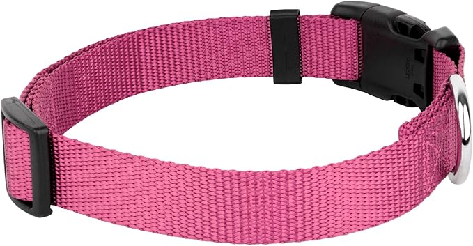 Country Brook Petz - American-Made Dog Collar for Large, Medium, and Small Dogs and Puppies - Deluxe Heavy Duty Nylon in 33 Dazzling Colors (Extra Small, 3/8 Inch Wide, Rose)