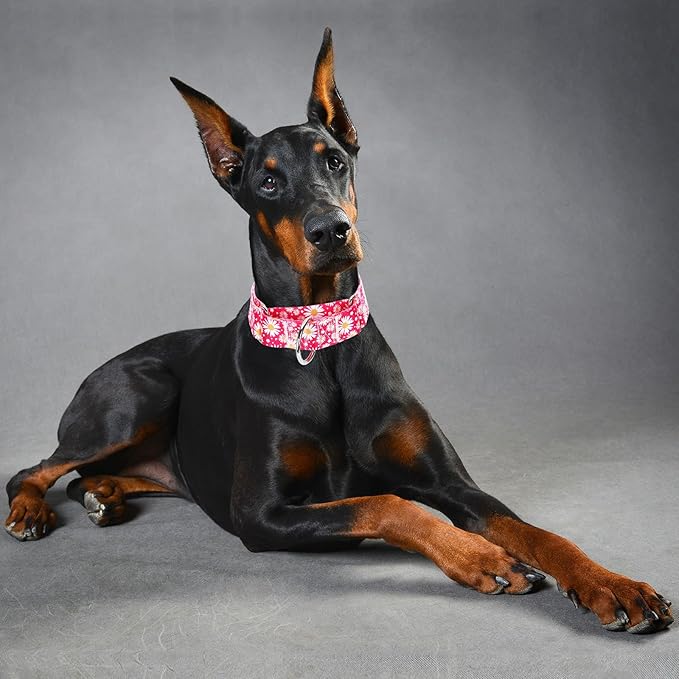 Martingale Dog Collar for Large/X-Large Dogs - Heavy Duty 1.5" Military Grade Nylon Collar with Red Daisy Floral Design, No-Slip Adjustable Training Collar Durable & Stylish (L)