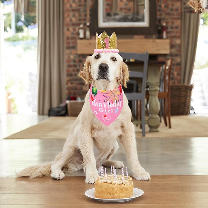 ADOGGYGO Dog Bandana Hat Set for Birthday Party Supply, Boy Girl Pet Birthday Scarf for Extra Large Dog (X-Large, Pink)