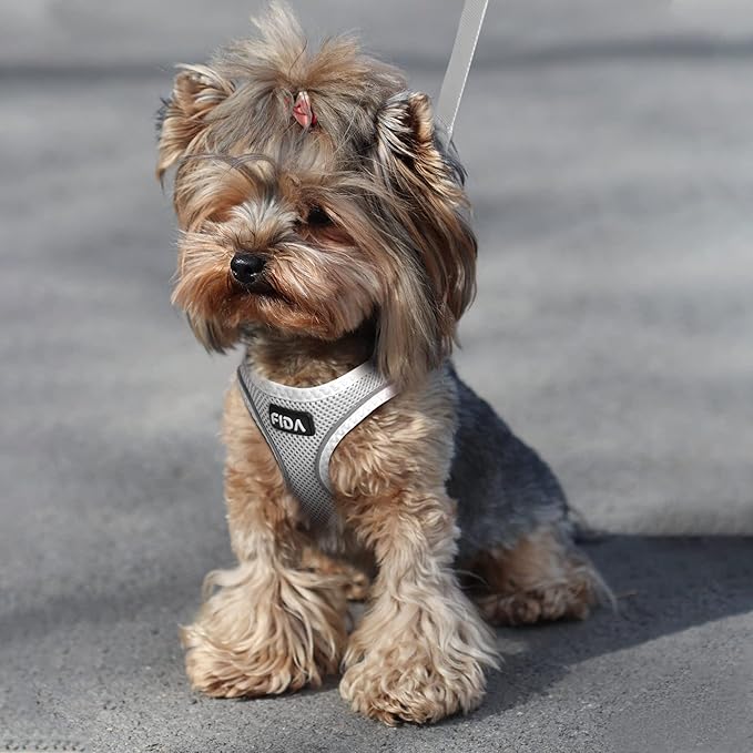 Fida Comfy Dog Harness with Leash, Cat Vest Harness Escape Proof, Breathable Lightweight Soft Mesh, Adjustable Reflective Step-in Harness for Puppy Toy Breeds & Extra-Small Pet (XXS, Grey)
