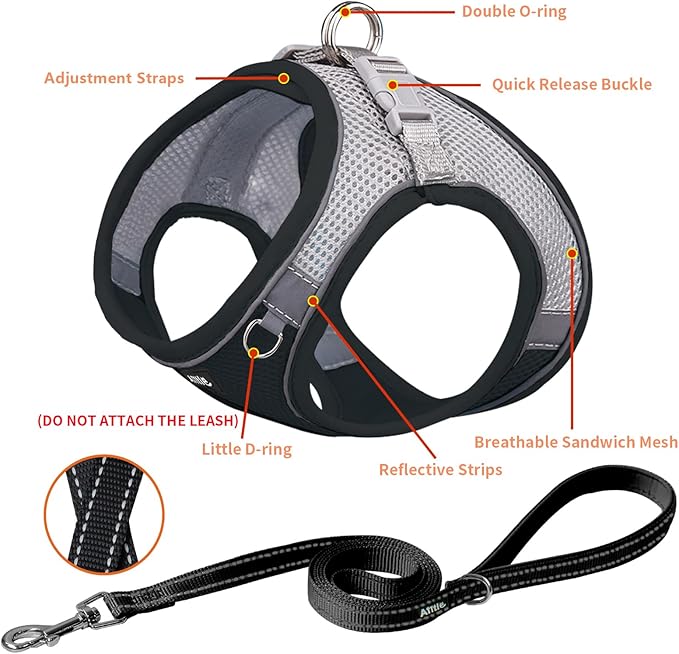 AIITLE Easy Walk Dog Harness and Leash Set - Pet Supply No Pull, Step in Adjustable Dog Harness with Padded Vest for Spring, Dog Harness No Choke Over, Easy to Put on Medium Dogs Black L