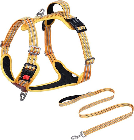 Petmolico No Pull Dog Harness Leash Set, Front and Back Metal Clips Easy Walk Dog Harness with Handle for Training Outdoor Adventures, Yellow Small