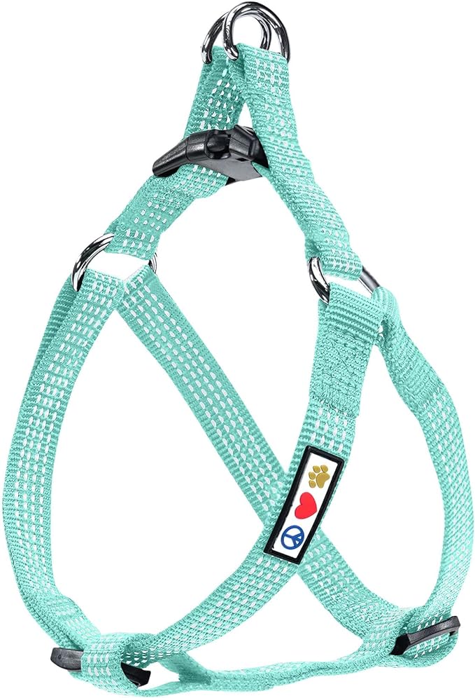 Pawtitas Dog Harness for Large Dogs Teal Dog Harness Step in from a Senior Dog to a Puppy Harness Adjustable Reflective Dog Harness S Reflective Dog Vest