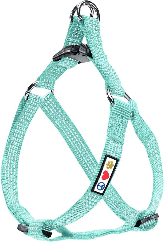 Pawtitas Medium Dog Harness - Teal, Adjustable, Reflective Step-in Harness for Senior Dogs to Puppies