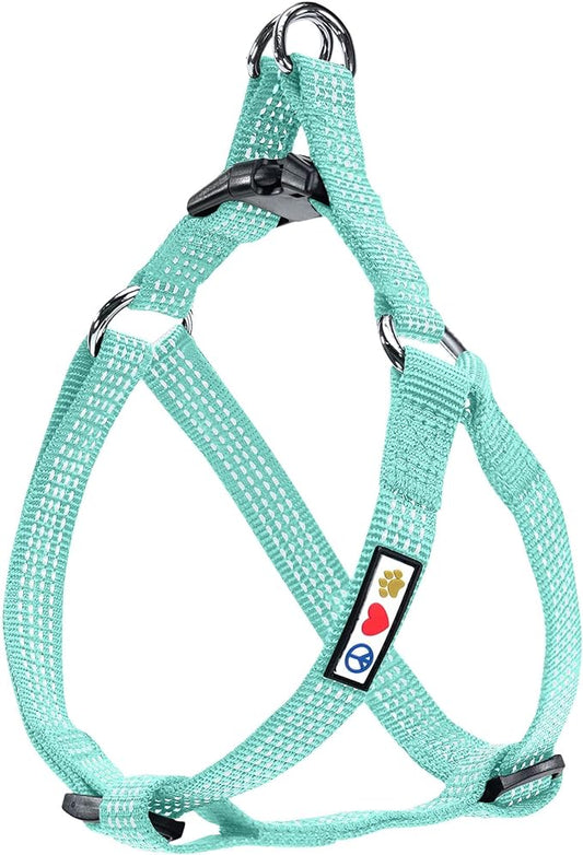 Pawtitas Pet Soft Adjustable Step-In Reflective Puppy / Dog Harness Small 5/8 Inch Teal