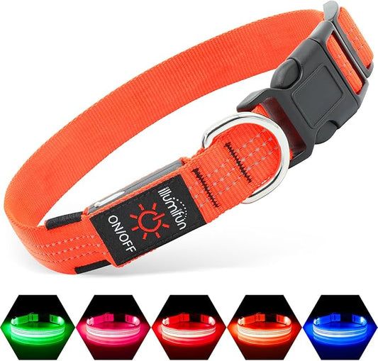USB Rechargeable LED Dog Collar - Light Up Dog Collar for Small Dogs, Reflective Adjustable Safety Dog Collar Lights for Night Walking (OrangeⅢ, Small)