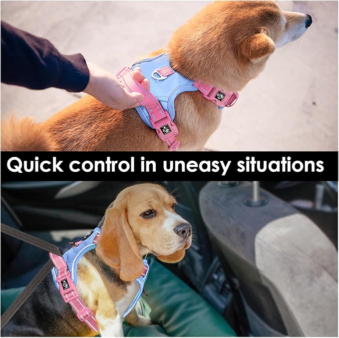 PHOEPET No Pull Dog Harness, Unique Colors Reflective Adjustable Dog Vest, with Soft Training Handle Metal Clips for Small Medium Large Dogs (Baby Blue Base & Pink Straps,S)