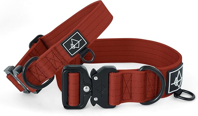 Made to ROAM Premium Dog Collar - Adjustable Heavy Duty Nylon Collar with Quick-Release Metal Buckle (Texas Flair, Classic Size 2)