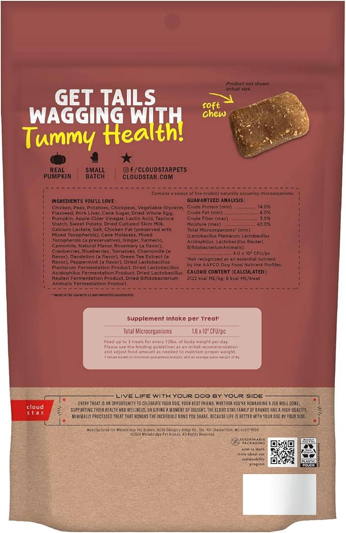 Cloud Star Dynamo Dog Tummy Treats – Soft & Chewy Probiotics Support for Dogs (14 oz. Pumpkin and Ginger) (20212)