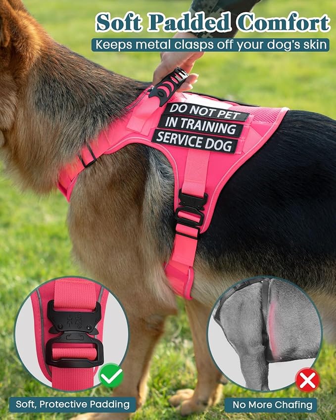 Pink Service Dog in Training Vest Harness for Medium Large Dogs, Reflective Adjustable Heavy Duty Padded Dog Harness, with Front Clip and Metal Buckles Do Not Pet for Training, Hiking