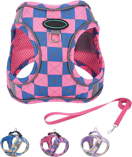 Step in Dog Harness and Leash Set, Plaid Adjustable Easy Walk Puppy Harnesses, Soft Mesh Pet Vest Harness Small Size Dog Adjustable No Pull Dog Harness for Small Medium Dogs(Blue Pink, XS)