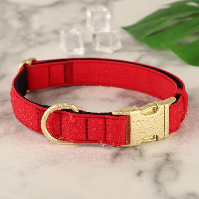 Didog Soft Padded Dog Collars for Small Dogs, Waterproof and Durable Pet Collar with Quick Release Buckle, Light and Breathable for Daily Walking,Red,S(Neck:10-15")