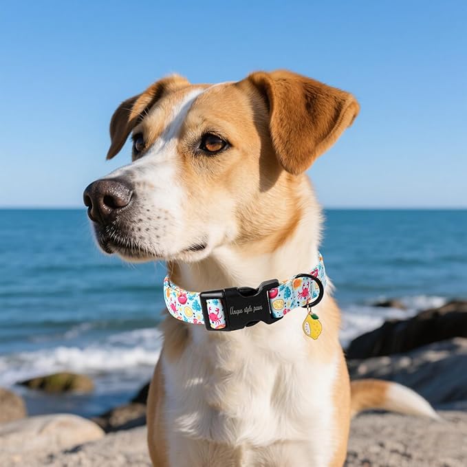 Unique style paws Dog Collar Plastic Buckle with Pendant Blue Lemon Crab Puppy Collars for Small Medium Large Boys Girls Dogs