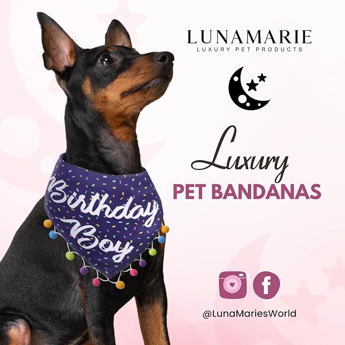 Luxury Pet Birthday Bandanas -Premium & Silky Poly Fabric | 100% Handmade | Custom Shape Dual Layered (Birthday Boy, X-Small)