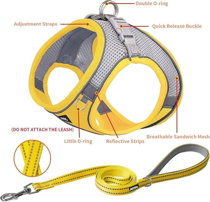 AIITLE Comfortable Dog Harness and Leash Set for Walking - Spring Step in Vest Harness,Reflective Bands, Adjustable No Pull Puppy Essentials, for Small Dogs and House Cats Yellow XS