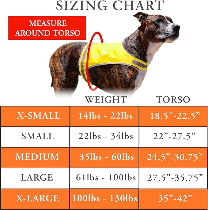 Lite Dog Vest. Coverage to Mid Back. Reflective Hi Visibility Fluorescent Yellow Fabric Helps to Keep Them in Sight and Safe On and Off Leash.