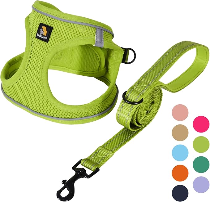 BELLA & PAL Puppy Harness with Leash Set, Dog Harness for Small Dogs No Pull, Dog Leash for Small Dogs, Step in Harness for Extra Small Dogs, Avocado Green Harness, L