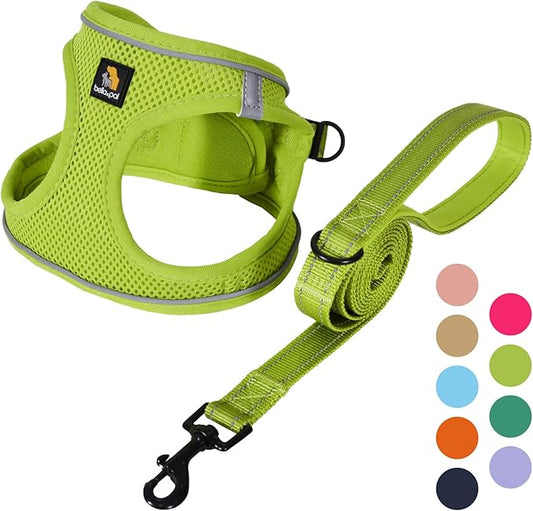 BELLA & PAL Puppy Harness with Leash Set, Dog Harness for Small Dogs No Pull, Dog Leash for Small Dogs, Step in Harness for Extra Small Dogs, Avocado Green Harness, L